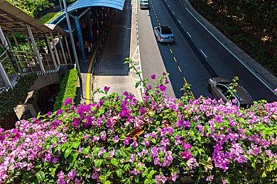 休闲钓鱼收集步行模拟游戏《侏罗岛》 现已开启限免活动